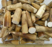 セイウチ(海象)牙/マッコウ鯨牙・骨/ミンク鯨髭・イワシクジラヒゲ