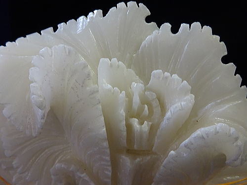 白菜は、中国や台湾では「財運をもたらす縁起の良い食べ物」と言われ