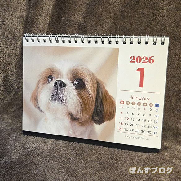 2026年のカレンダー販売開始です！ | シーズー犬ぽんずブログ