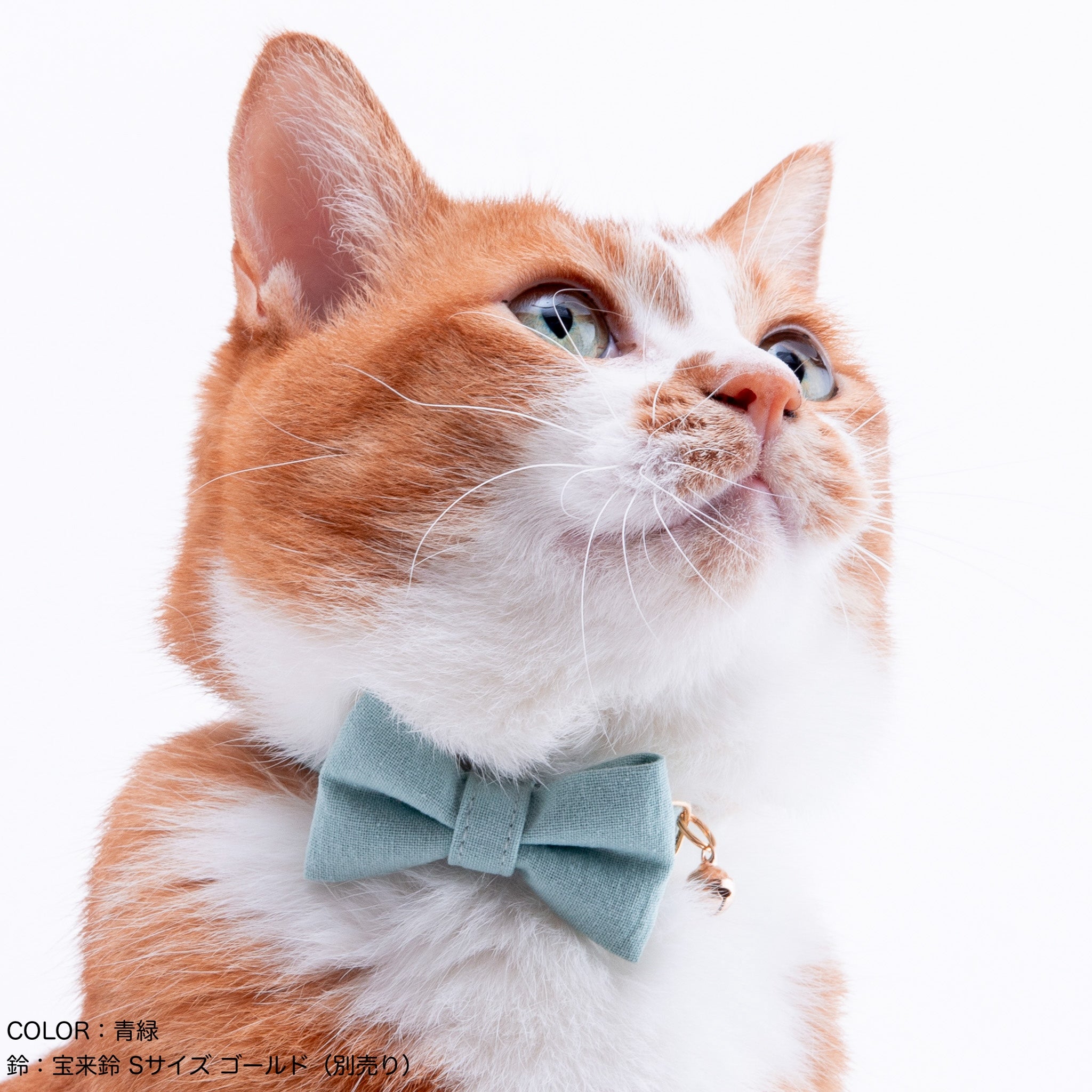 リボン付き猫首輪 MUJIコットンプレーン 露草｜ぽぽねこ公式オンライン