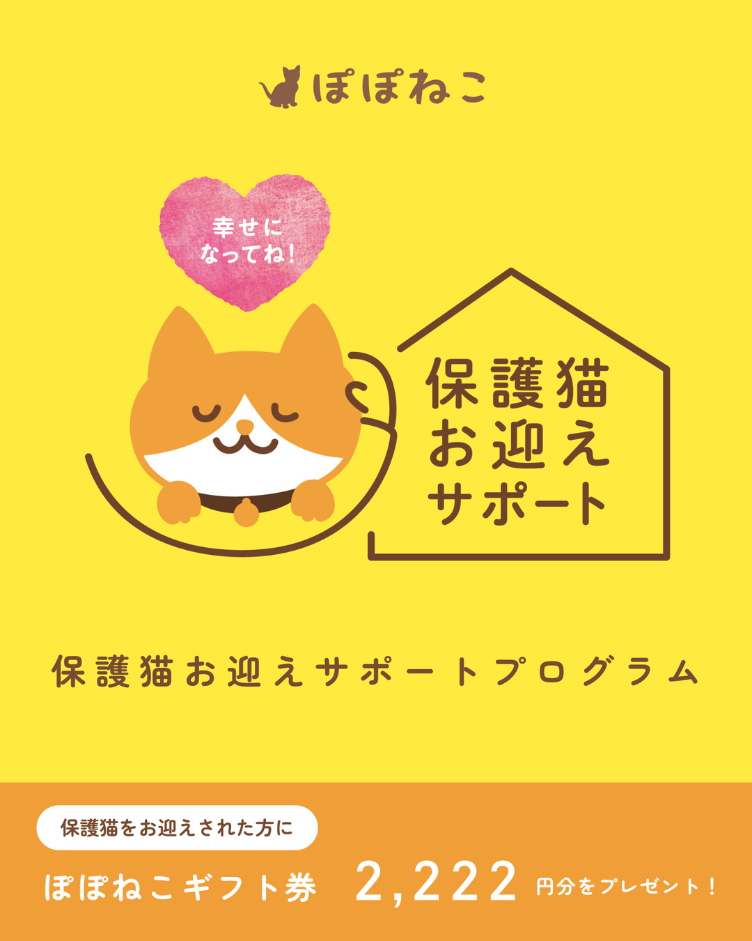 ぽぽねこの猫殺処分ゼロ支援プロジェクトについて – ぽぽねこ公式