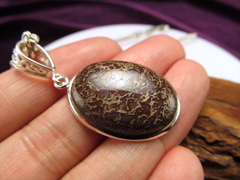 ☆激レア！限定入荷☆太古のロマン☆恐竜の骨の化石『ダイナソーボーン