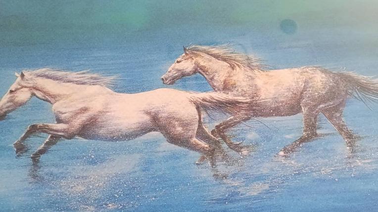 来年の干支 豊富な馬たち 「うまくいく 2026年」丙午の年 強く勢いと