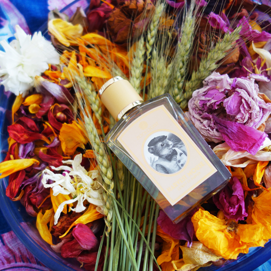 Harvest Mouse / ハーベスト・マウス