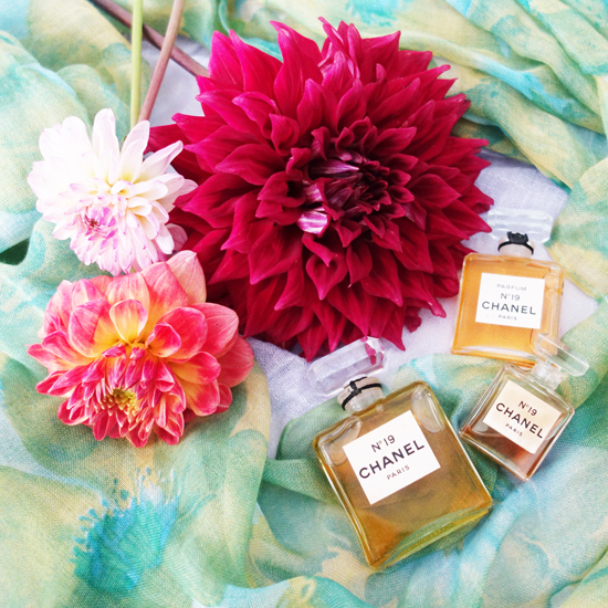 No.19 / ナンバー19