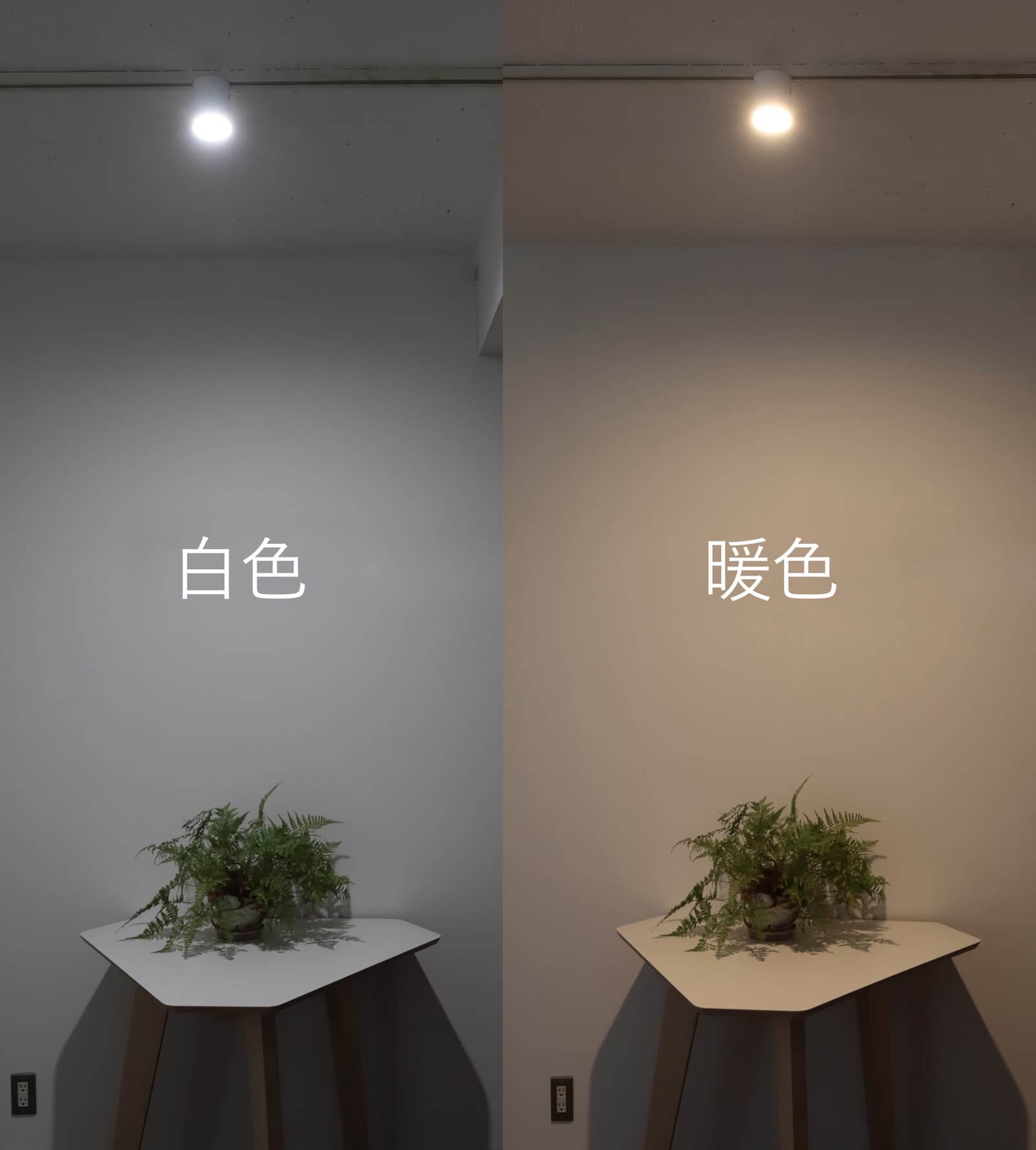 レールダウンライト 100W相当 ホワイト | LT-OT008-01-G141 | レール