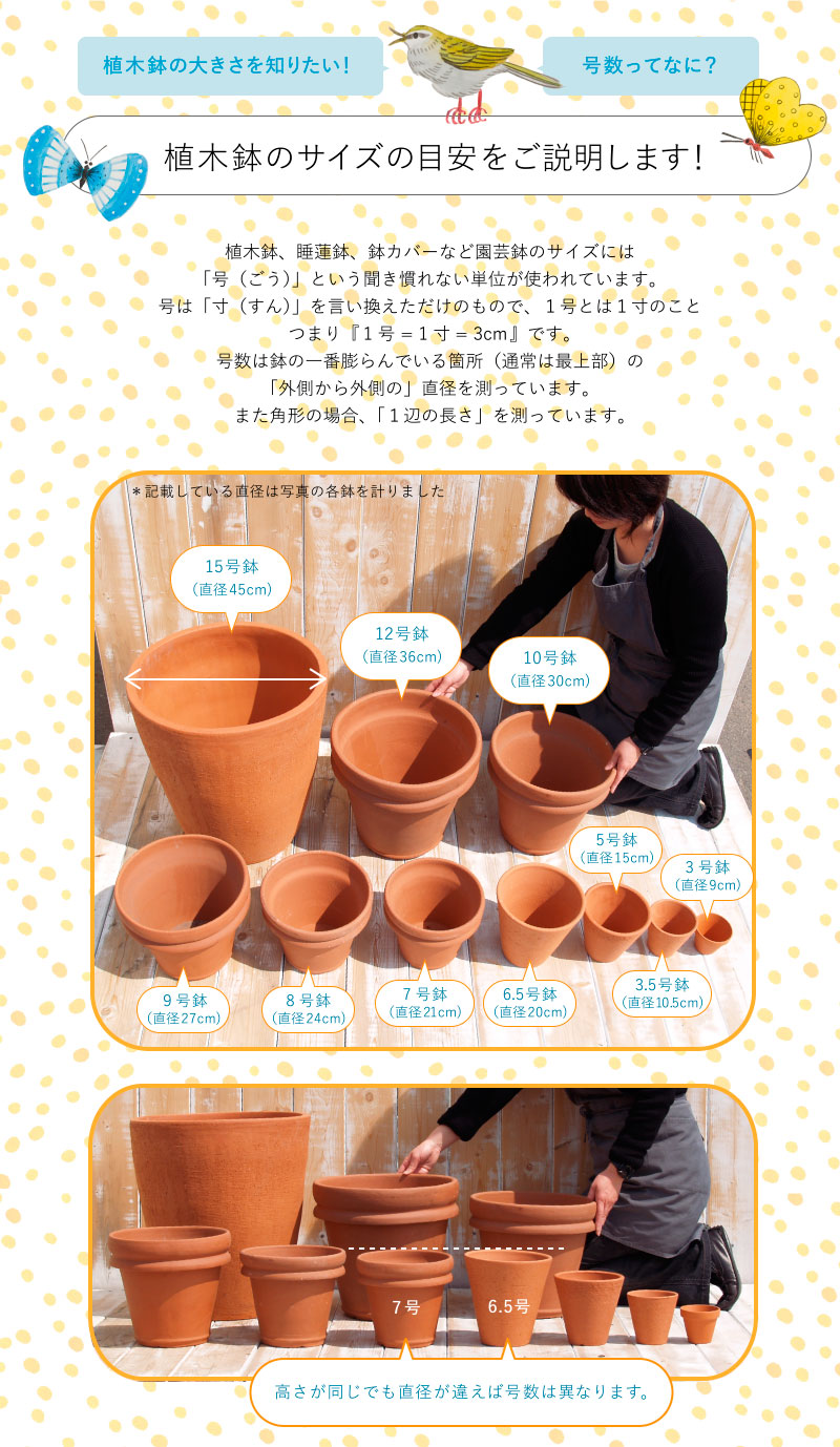 楽天市場】 植木鉢の特性とサイズについて : 植木鉢・テラコッタ専門店