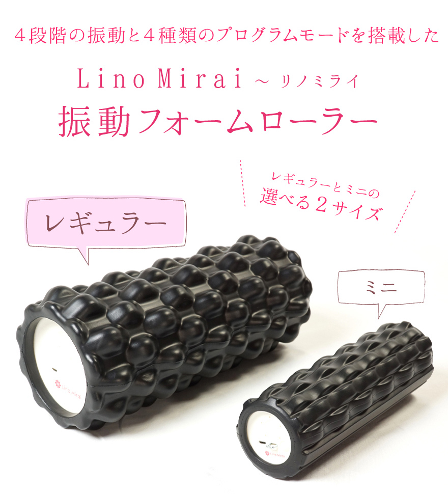 楽天市場】振動 フォームローラー コンパクト 筋膜ローラー 筋膜