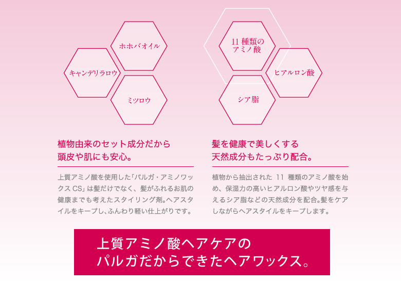 プロ仕様のサロン専売アミノ酸系シャンプー レラパルガ