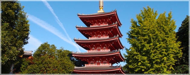 境内のご案内｜蓮華院誕生寺