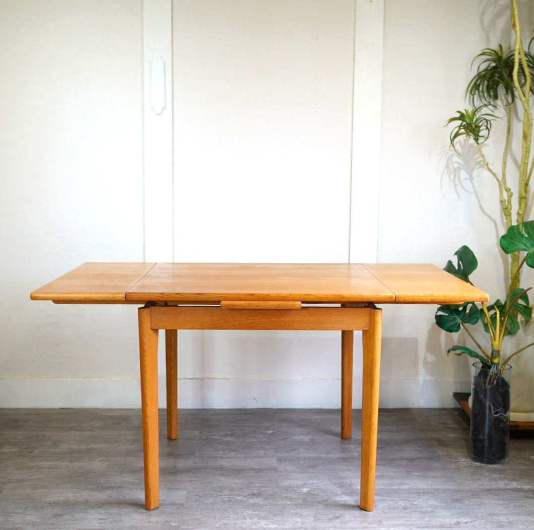 日進木工 伸長式 ダイニングテーブル ジャパンヴィンテージ 中古