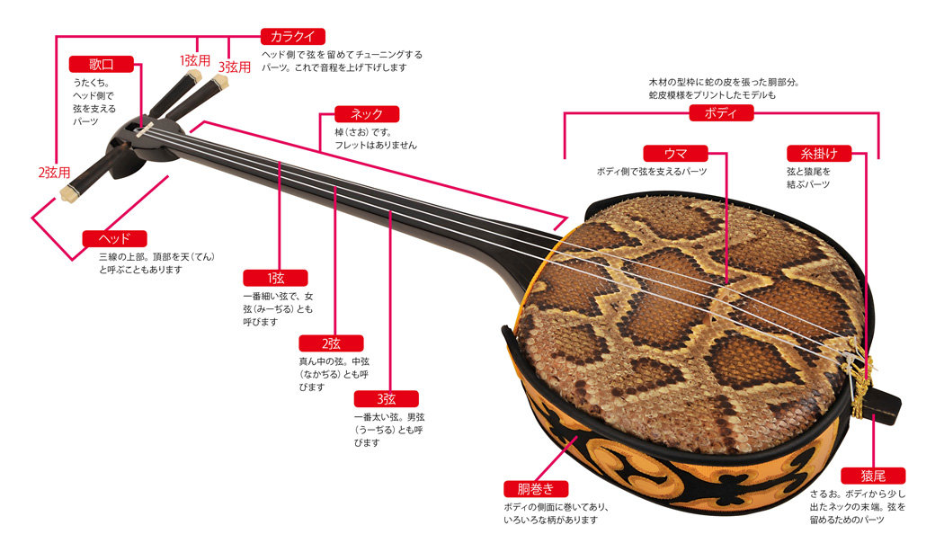 累計7,000万部の人気を誇る「できるシリーズ」に