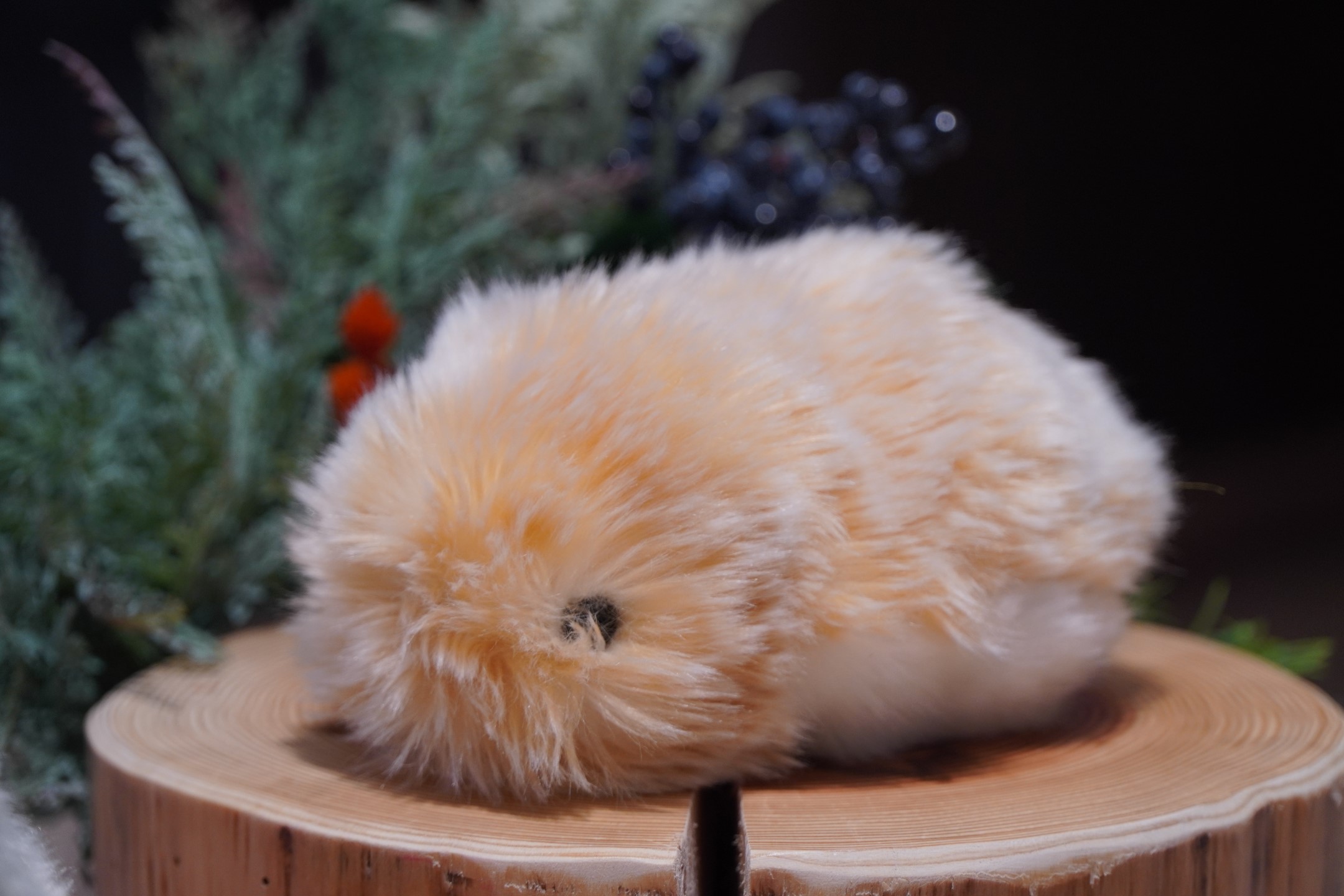 カシオ、400万通りの個性を持つAIペットロボット「モフリン