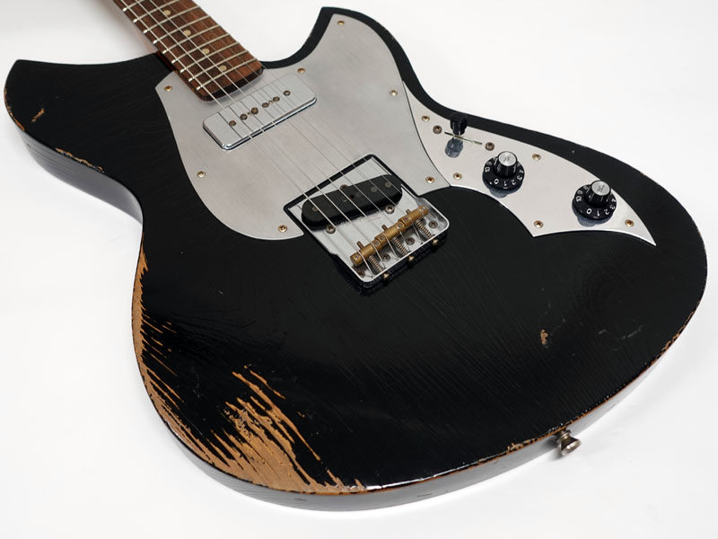 NOVO Serus T / 公式Insta掲載個体 / 3.13kg/fano NOVO Serus T / 公式Insta掲載個体 / 3.13kg/fano 激レア！Novo