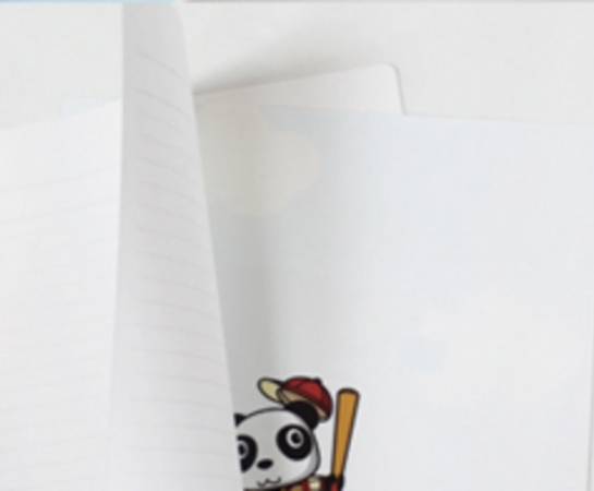 ファイルにも下敷きにもなる実用新案－トーツヤ・エコー