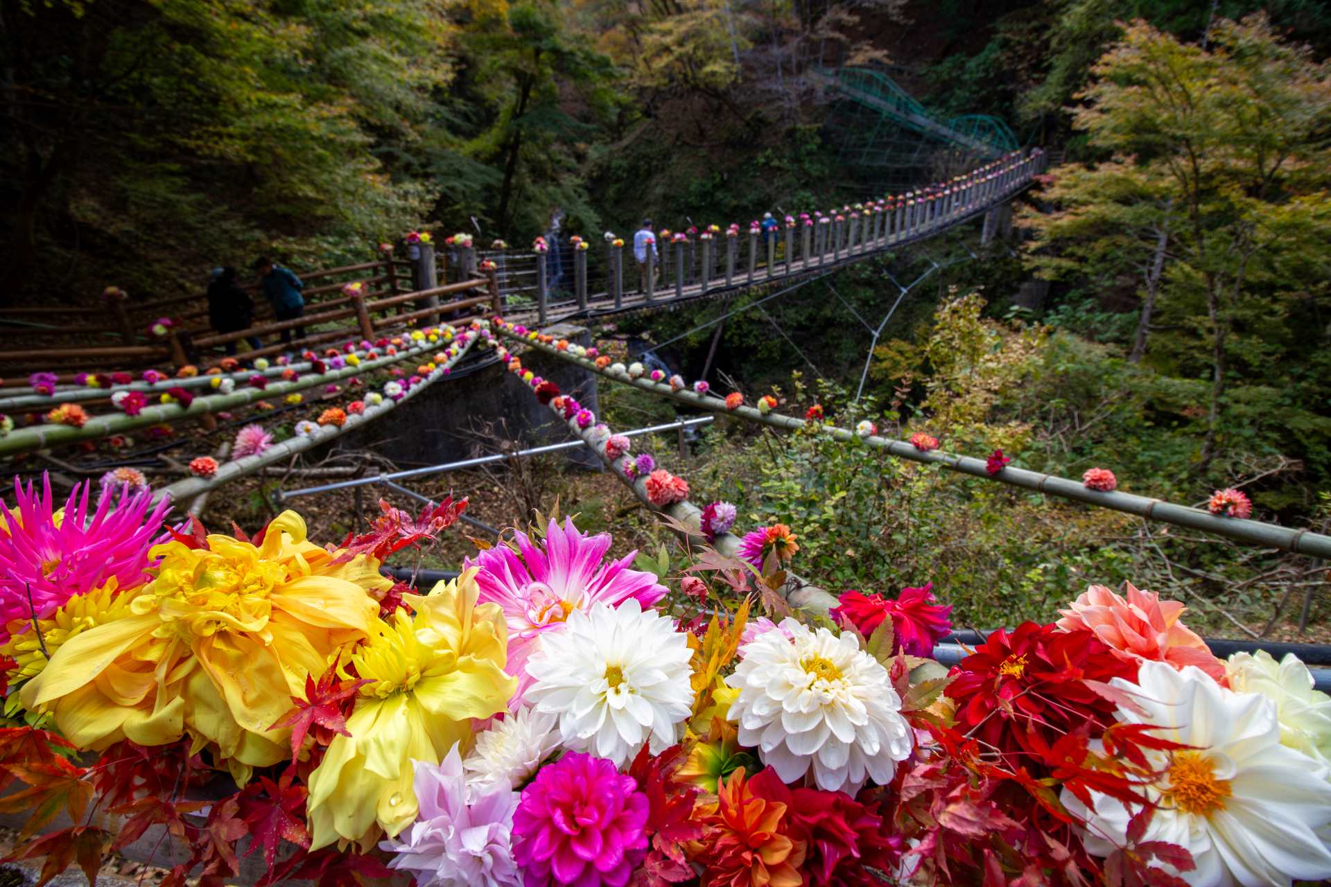 フォトニュース | 小鹿野町