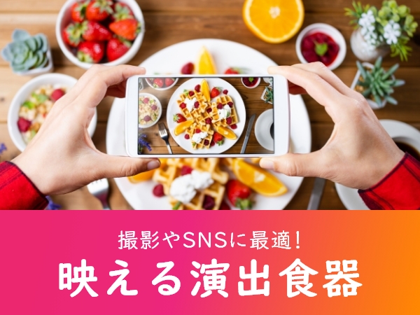 映える演出の食器の通販|食器のセール・購入なら陶磁庵