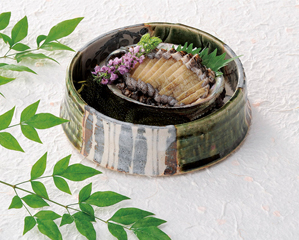 向付・和食器の通販|食器のセール・購入なら陶磁庵