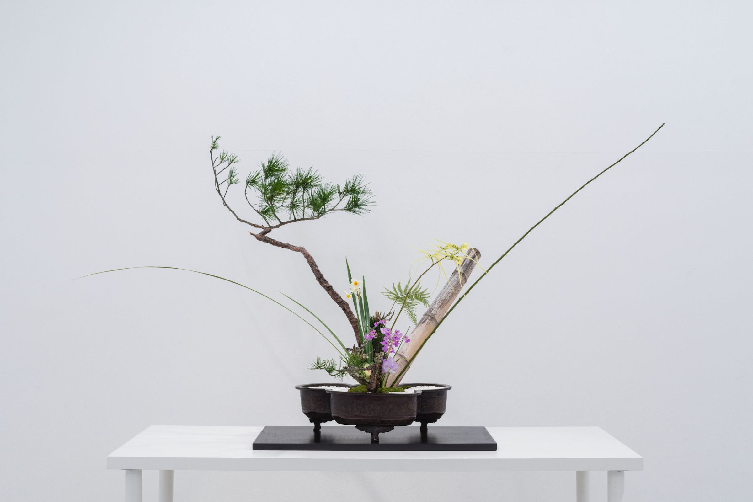 花をアートへ | EXHIBITIONS | 東京画廊 + BTAP TOKYO GALLERY +