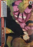 魔王の正体 エルザ【ヴァイスシュヴァルツトレカ高価買取価格査定：CB