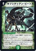 カードを買う/デュエル・マスターズ/通常シリーズ/DM-05 第5弾 漂流