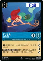 アナ 誠心なる姫君【ロルカナお買得価格通販：CBトレコロ】