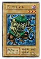 ホーリー・エルフ【遊戯王トレカ高価買取価格査定：CBトレコロ】