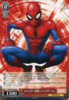 地球生まれ銀河育ち スター・ロード【ヴァイスシュヴァルツトレカ高価