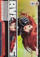 地球生まれ銀河育ち スター・ロード【ヴァイスシュヴァルツトレカ高価