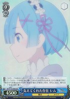 ミニレム【ヴァイスシュヴァルツトレカお買得価格通販：CBトレコロ】