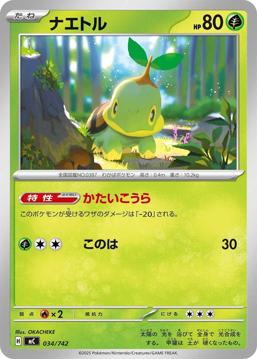 メガエンブオーex[SAR仕様]【ポケモンカードトレカお買得価格通販