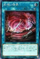 電脳堺姫－娘々【遊戯王トレカお買得価格通販：CBトレコロ】