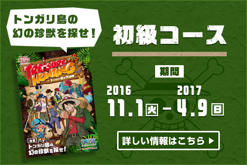 トレジャーハンティング トンガリ島の大冒険｜東京｜リアル宝探しタカ