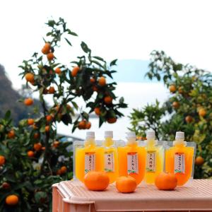 ちゅうちゅうゼリー6個ギフトセット | 商品詳細 | 高島屋オンラインストア