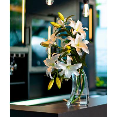 EMILIO ROBBA（エミリオ・ロバ） | カサブランカ＆カラー | リビング