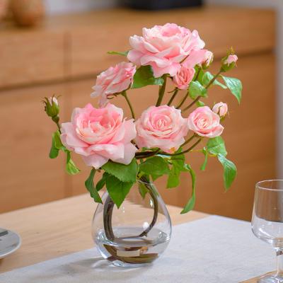 EMILIO ROBBA（エミリオ・ロバ） | ローズ | リビング・ホビー