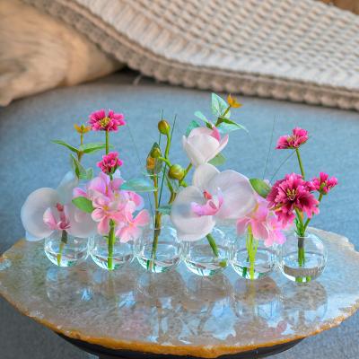 EMILIO ROBBA（エミリオ・ロバ） | ファレノプシス（胡蝶蘭