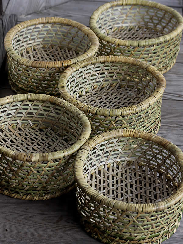 北の大地と根曲竹 - 竹虎四代目がゆく！