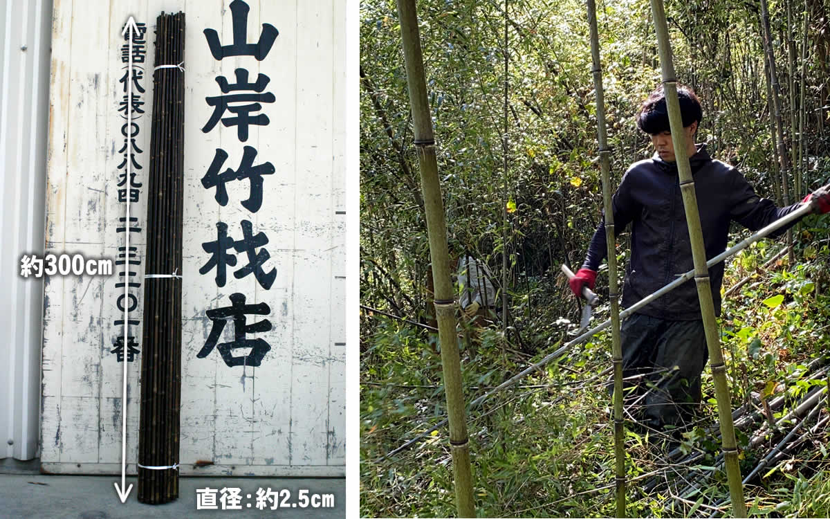 送料別途見積】 高知県特産黒竹 3m8分 | 虎斑竹専門店 竹虎