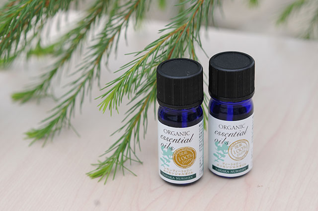 芳香蒸留器「herbique」 ハービック 香りの樹メラレウカ、ティーツリー