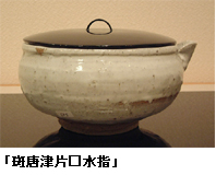 行ってきました見てきました