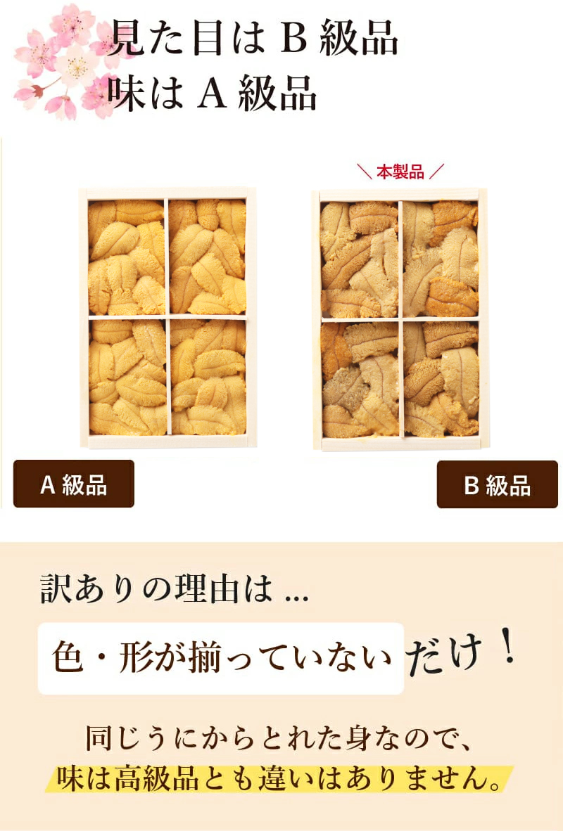 無添加生うに木箱150g B級品