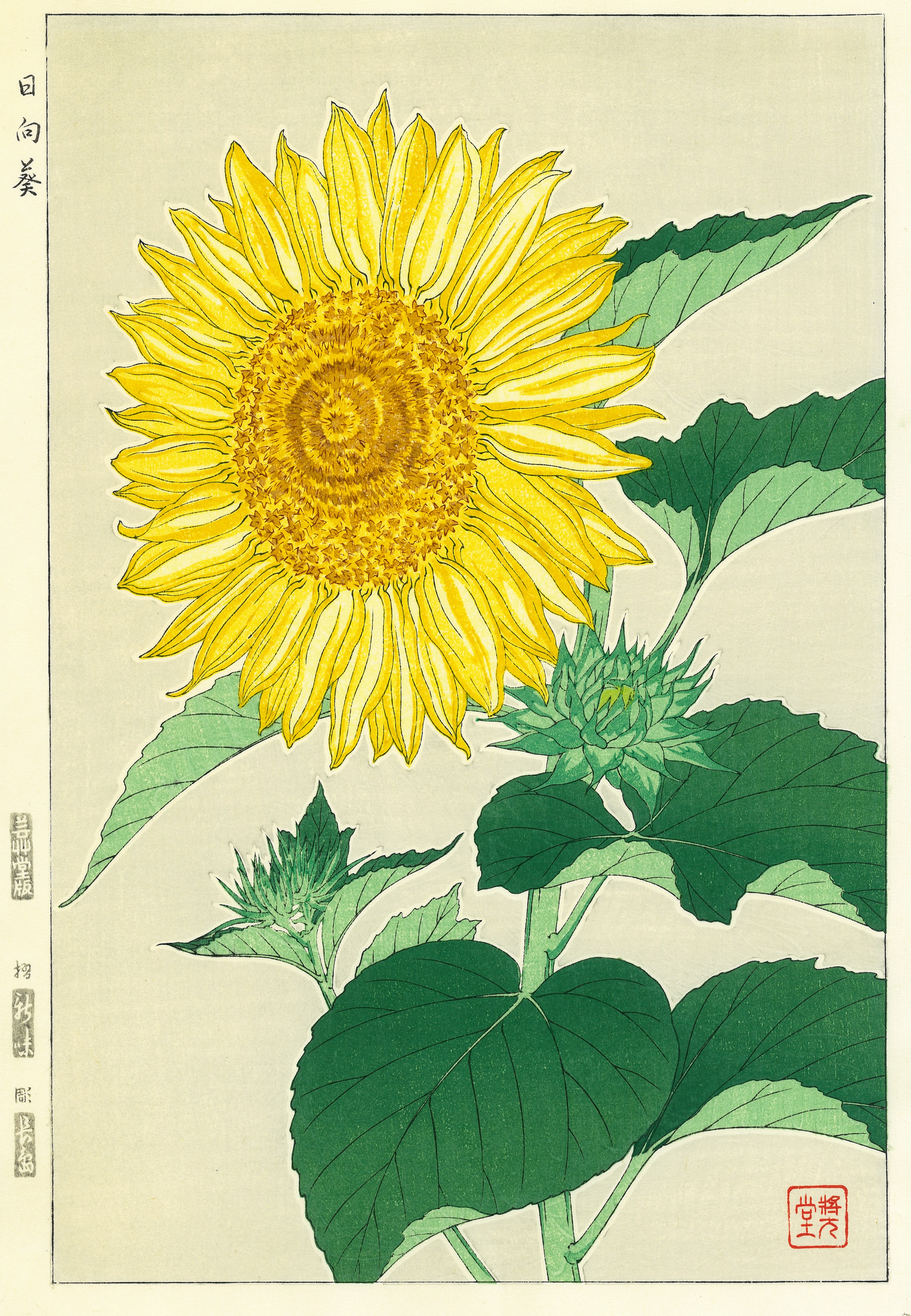 F087 向日葵 – 芸艸堂