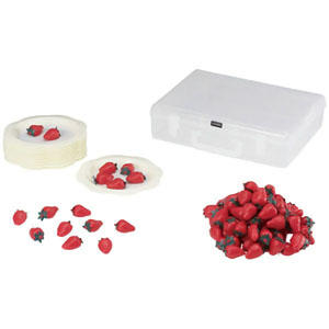 UCHIDASウチダスおはじきセット PP－40 教師用: 学習支援用品