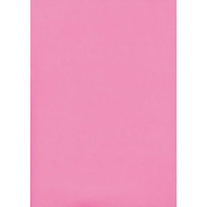 UCHIDASウチダス蛍光ニューカラー 4切フラッシュピンク 10枚入