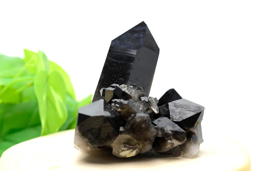 アーカンソー産 黒水晶（スモーキークォーツ）クラスター原石｜原産地