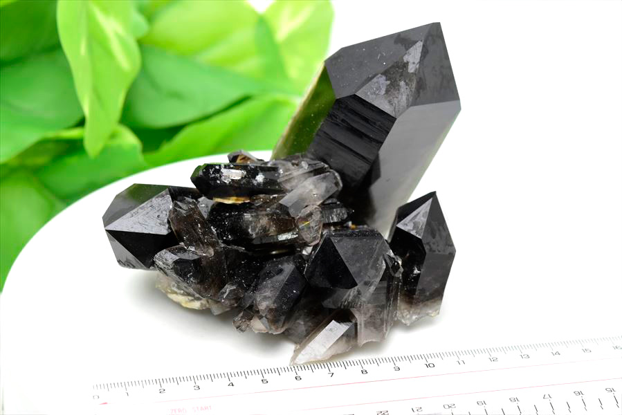 アーカンソー産 黒水晶（スモーキークォーツ）クラスター原石｜原産地