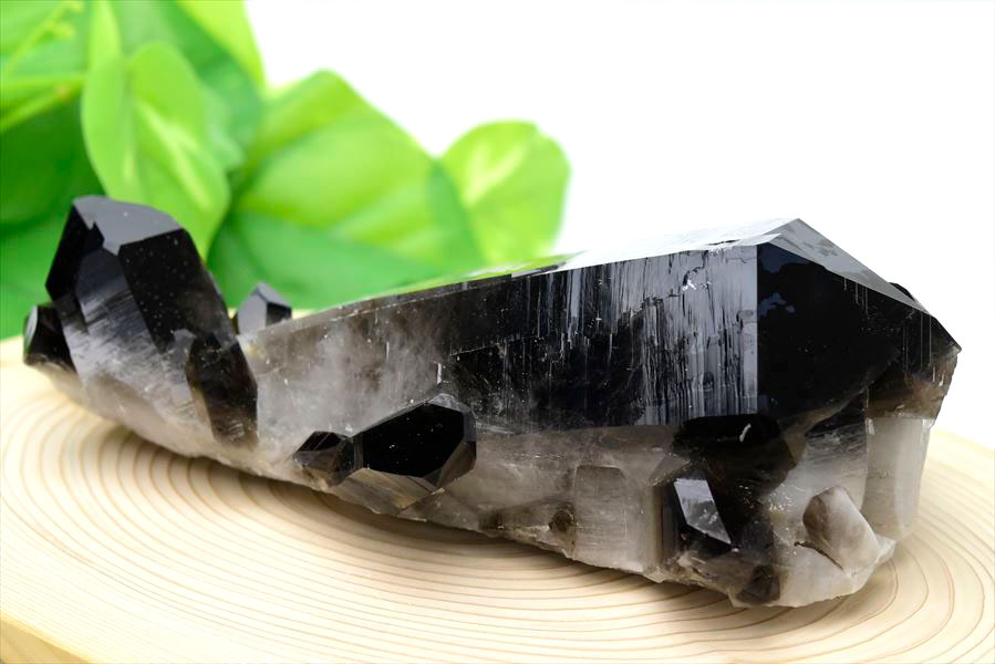 アーカンソー産 黒水晶（スモーキークォーツ）クラスター原石｜原産地