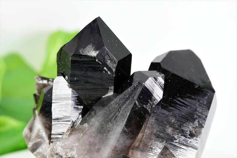 アーカンソー産 黒水晶（スモーキークォーツ）クラスター原石｜原産地