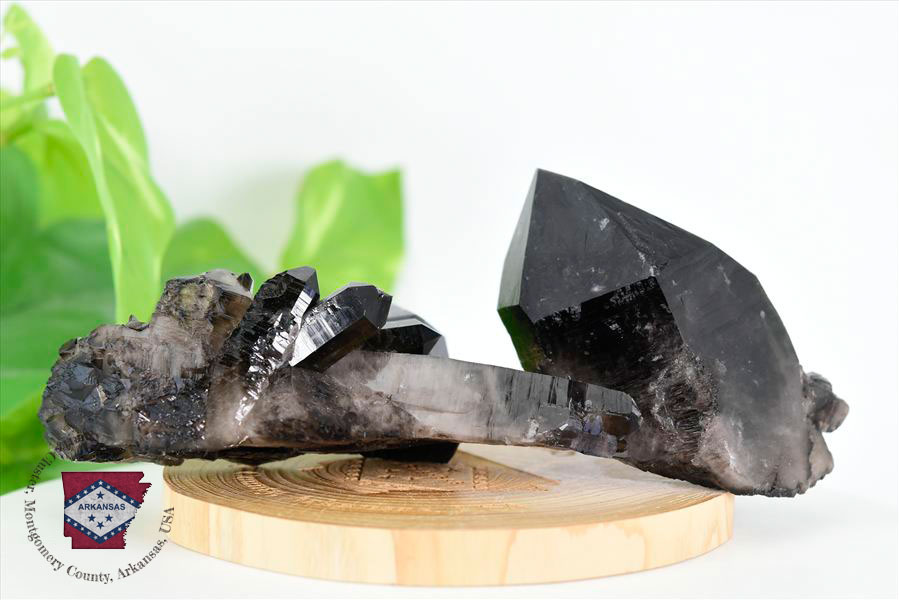 アーカンソー産 黒水晶（スモーキークォーツ）クラスター原石｜原産地